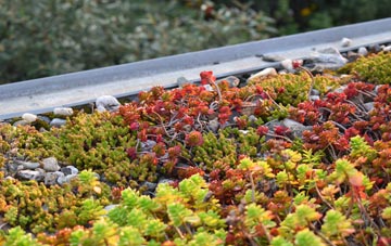 the cost of Willisham Tye green roof installation