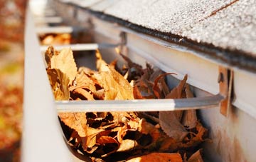 Willisham Tye gutter cleaning companies