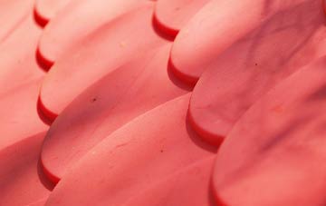 Willisham Tye plastic roof costs