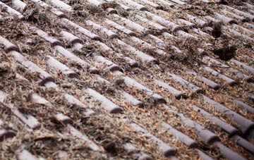 Willisham Tye roof cleaning companies