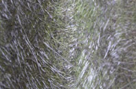 Willisham Tye fibreglass roof work